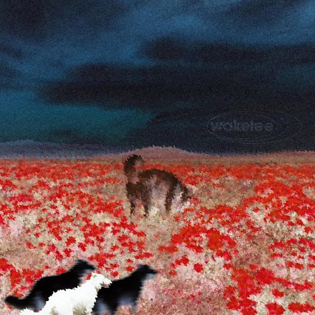 mildlyinteresting cover art