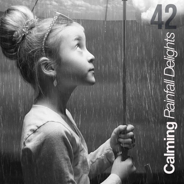 42Calming Rainfall Delights - Compilation by Pro Sound Effects Library ...