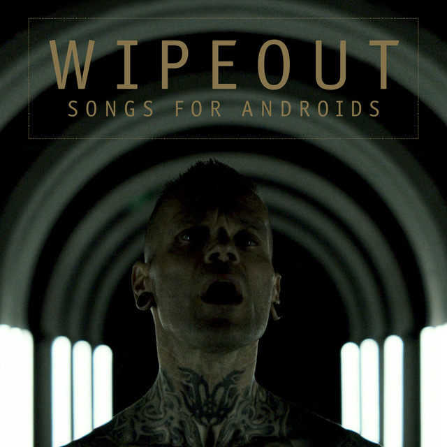 Wipeout photo