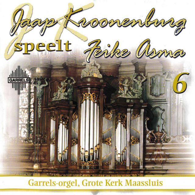 Jaap Kroonenburg speelt Feike Asma: Deel 6 cover art