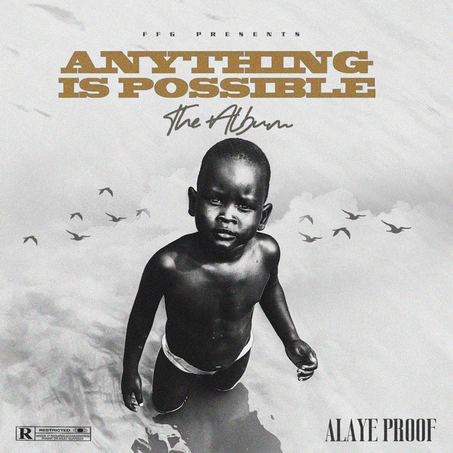 Anything is Possible cover art