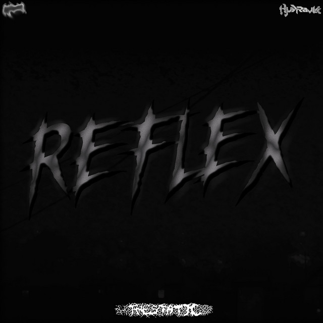 Reflex cover art