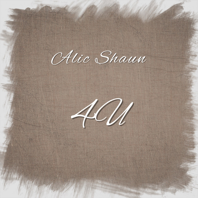 4U cover