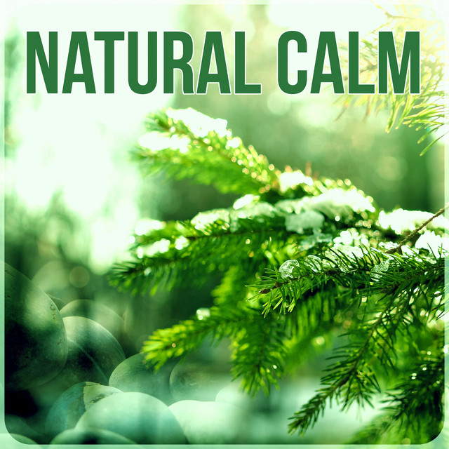 Natural Calm - Walking Music, Training for Walking, Chillout Relaxing ...