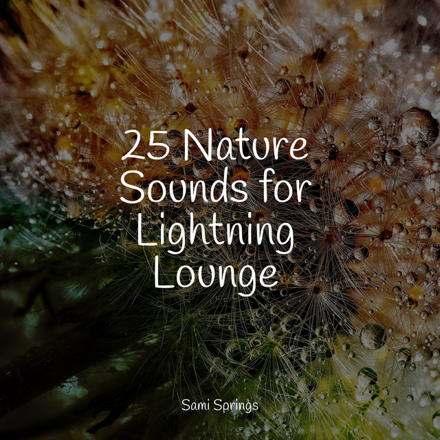 25 Nature Sounds for Lightning Lounge - Album by Ambient Forest | Spotify