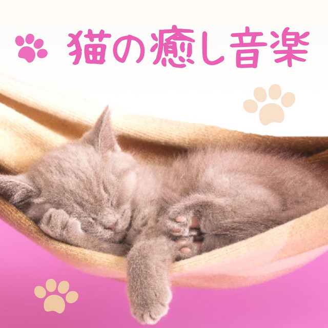 ストレス予防 Song And Lyrics By ペットのセラピー Spotify