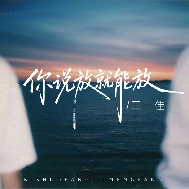 你說放就能放- Single by 王一佳| Spotify