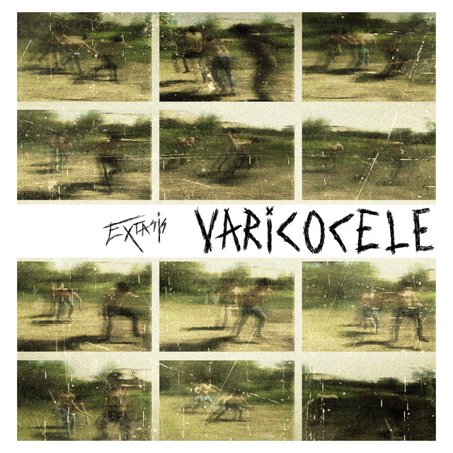 Varicocele cover art