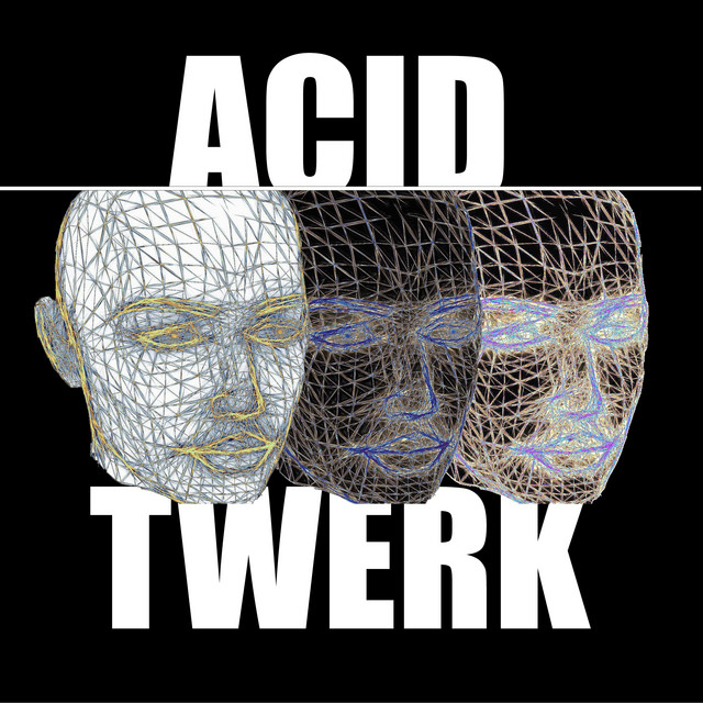 Acid Twerk (Chin up High Rave Edit) cover art