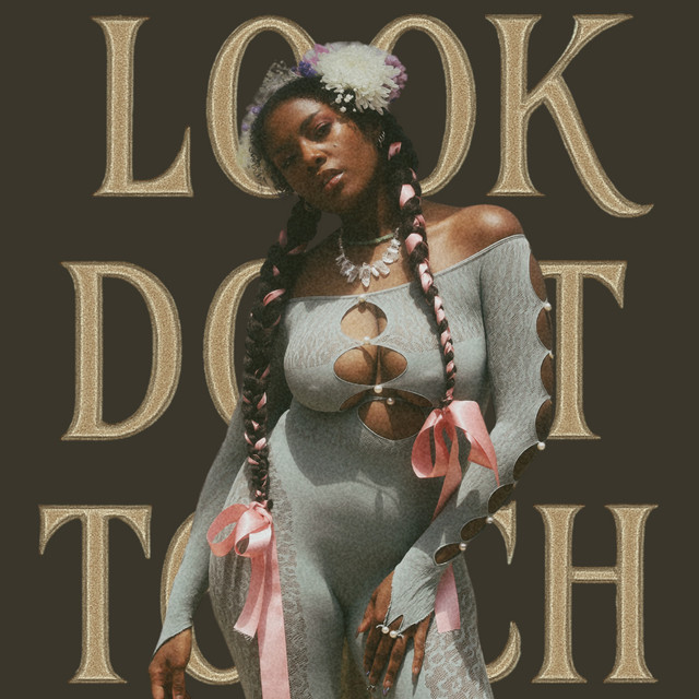 Look Don't Touch