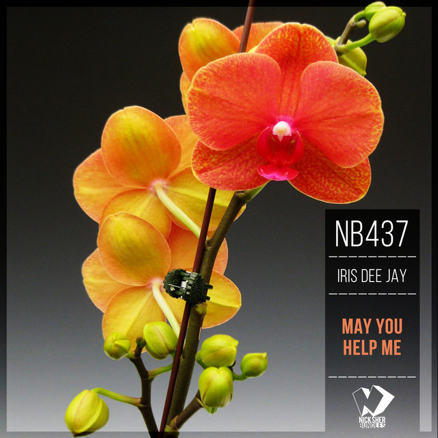 Cover art for Iris Dee Jay — May You Help Me
