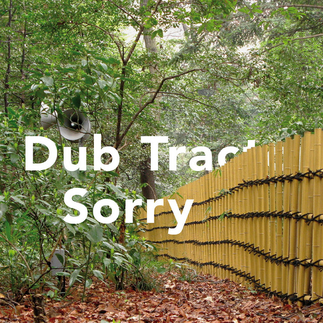 Sorry cover art