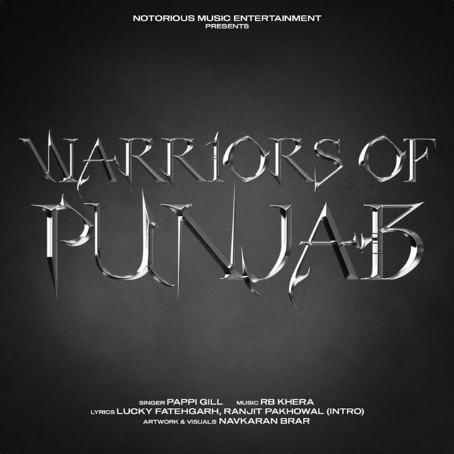 Warriors Of Punjab