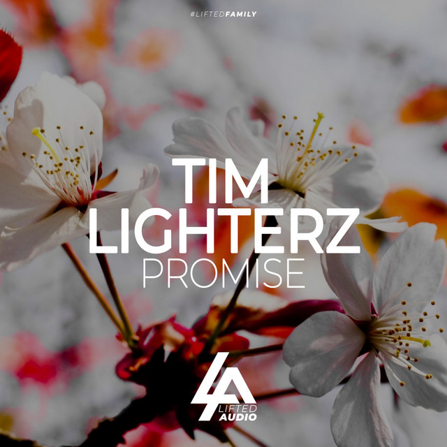 Обкладинка Tim Lighterz — Promise