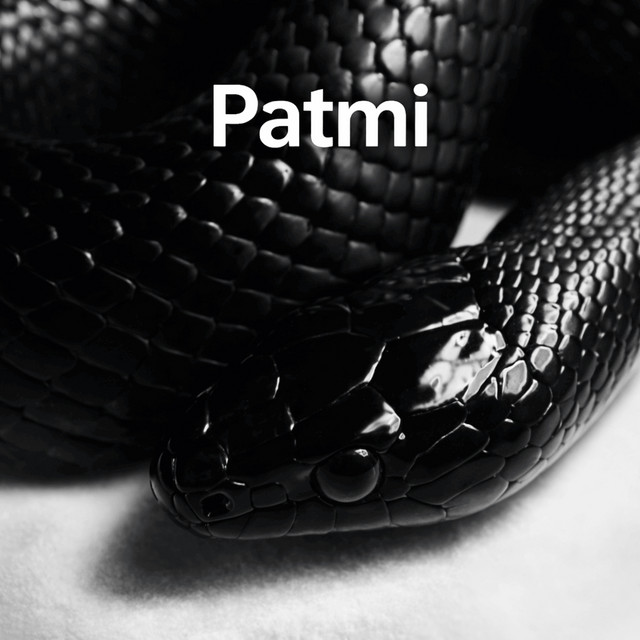 Patmi cover art