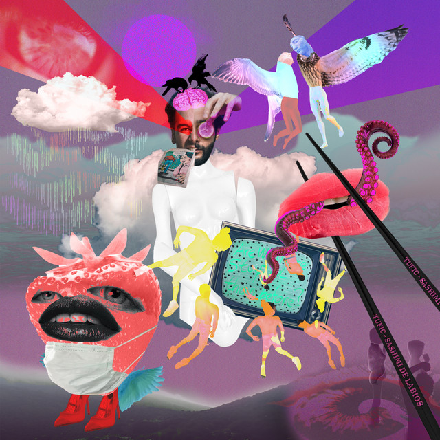 Sashimi de Labios cover art