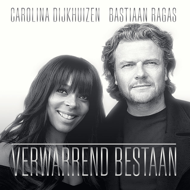 Verwarrend bestaan cover