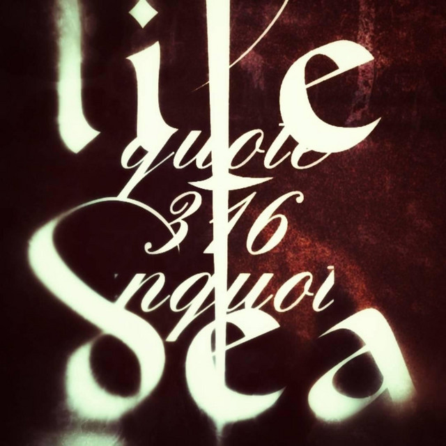 316 cover art