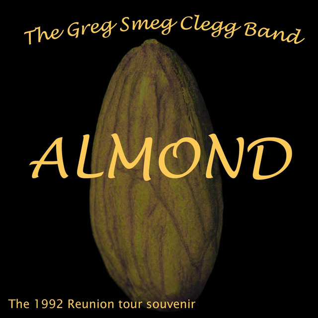 Almond: The 1992 Reunion Tour Souvenir cover art