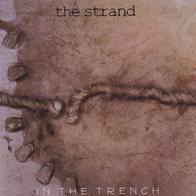 In The Trench cover art