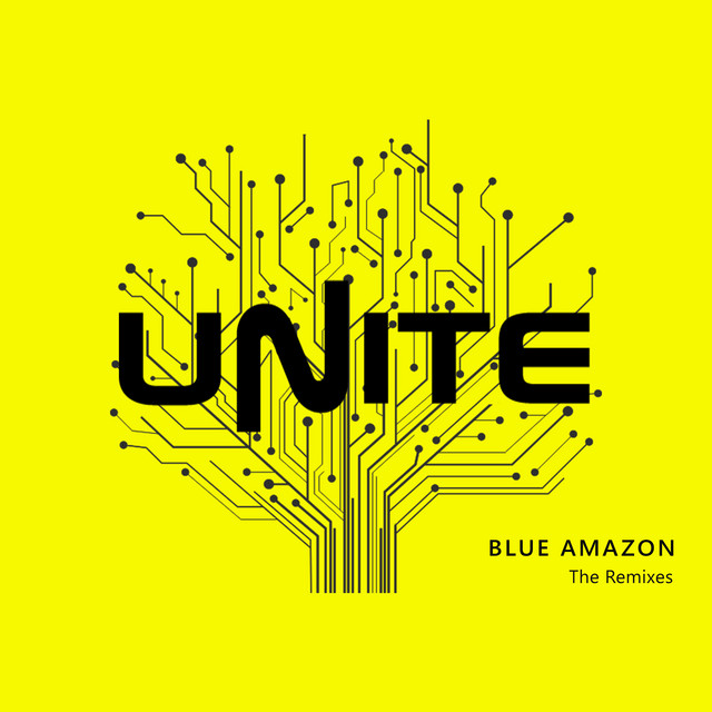 Unite - TR20 Remix cover art