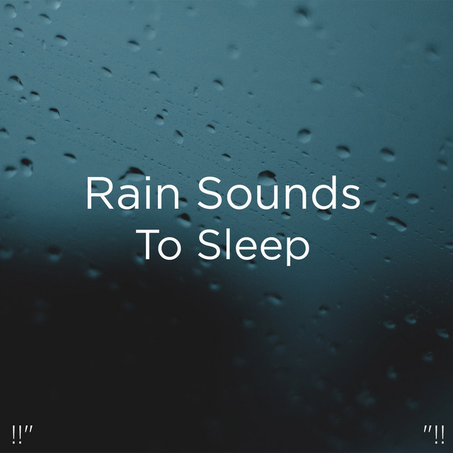 !!" Rain Sounds To Sleep "!! cover art