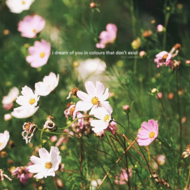 I Dream of You in Colours That Don't Exist