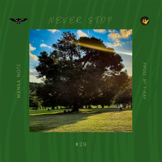 Never Stop cover art