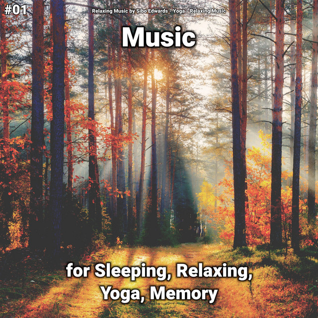 #01 Music for Sleeping, Relaxing, Yoga, Memory cover art