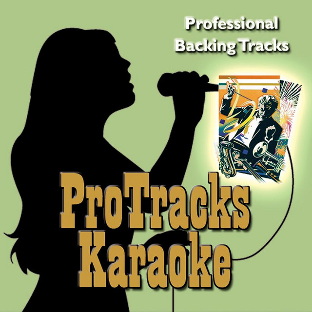 Stand Up - In the Style of Ludacris Feat. Shawnna (Karaoke Version Teaching Vocal)
