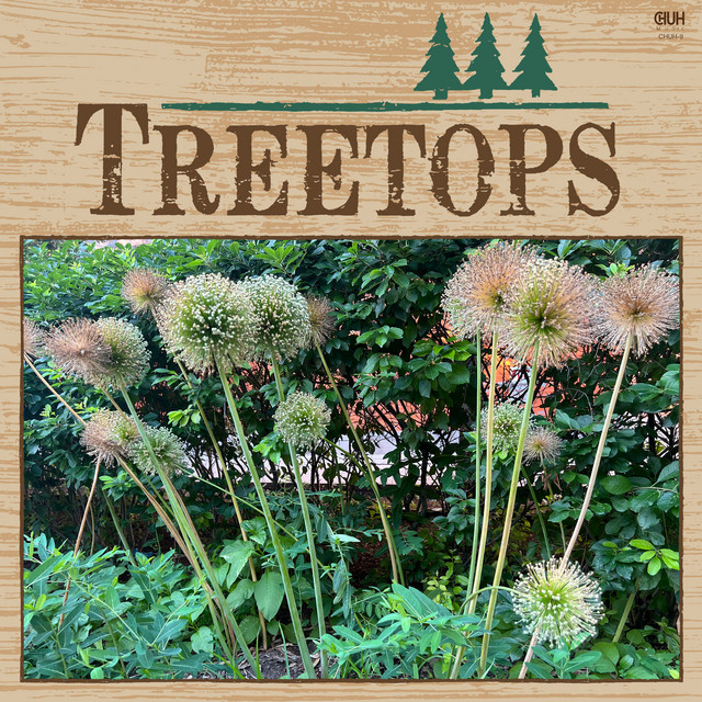 Treetops