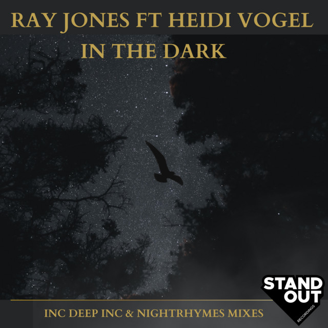 In The Dark - Deep Inc Soulful Mix cover art