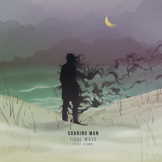 Tidal Wave cover