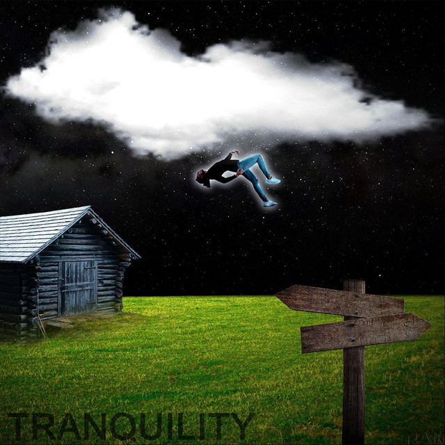 Tranquility cover