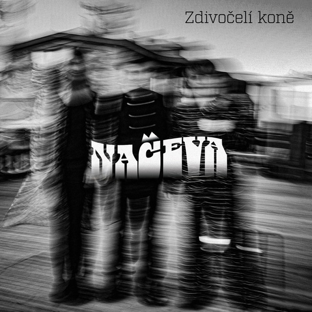 Zdivočelí koně cover art