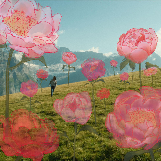 Peonies cover art