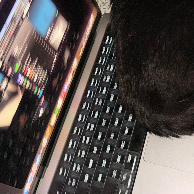 undefined album image