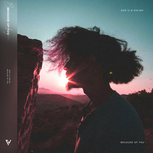 Because of you - Single by XDR-C | Spotify