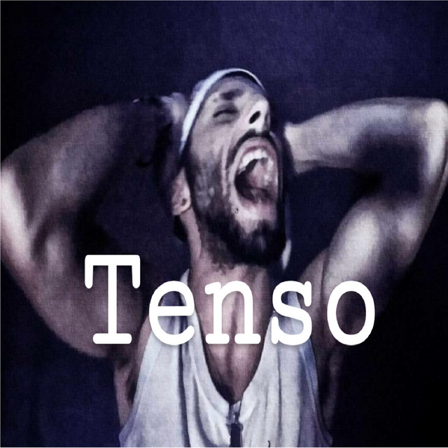 Tenso - Single by Diab2607 | Spotify