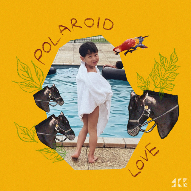 Polaroid Love