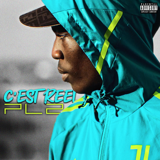 C'est réel cover art