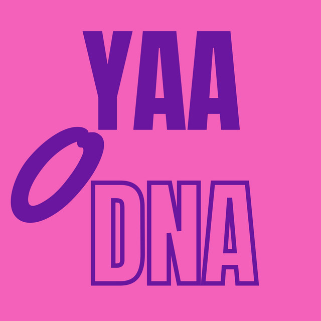 O Yaa Odna - Dutch House