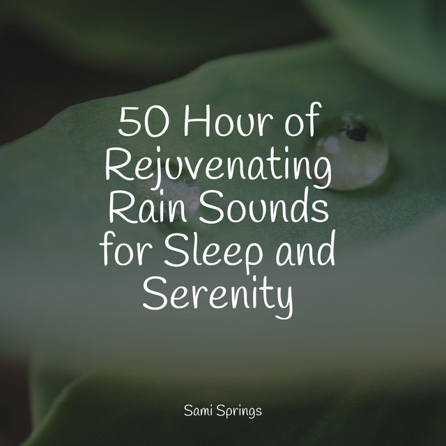 50 Hour of Rejuvenating Rain Sounds for Sleep and Serenity - Album by ...