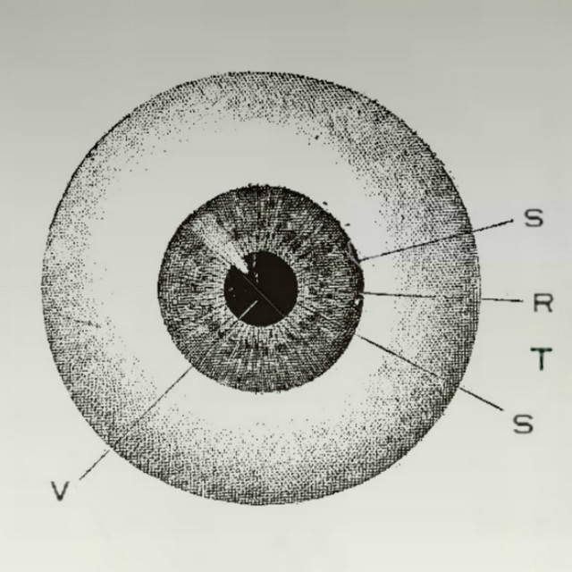 Vstrs cover