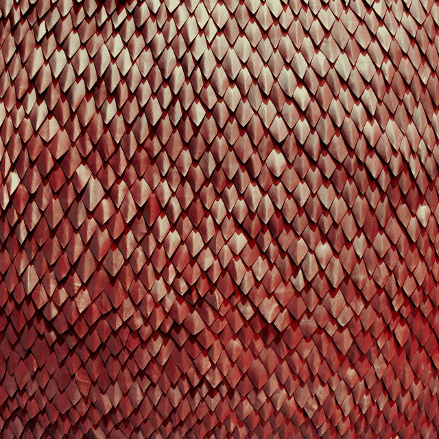 Carnelian cover art