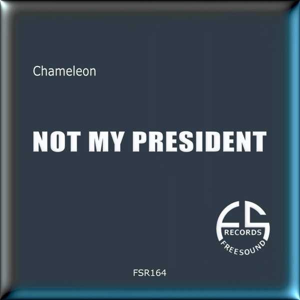 Not My President cover art