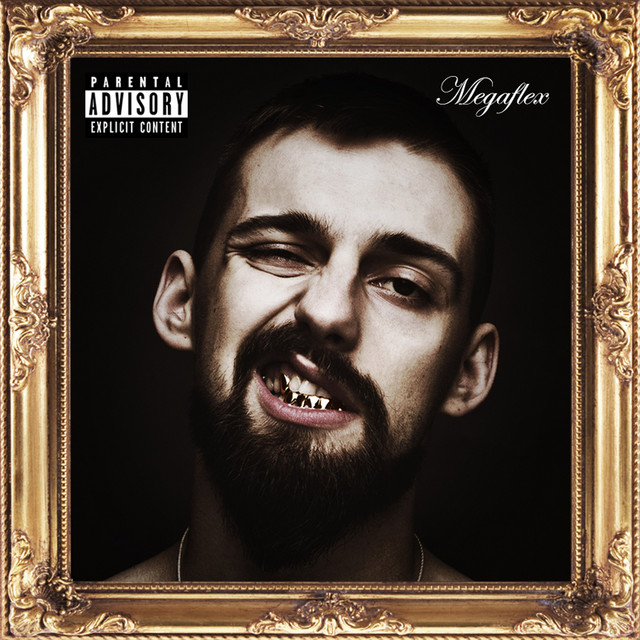 Megaflex cover art