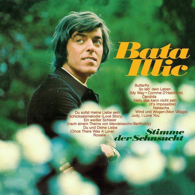 Stimme der Sehnsucht cover art
