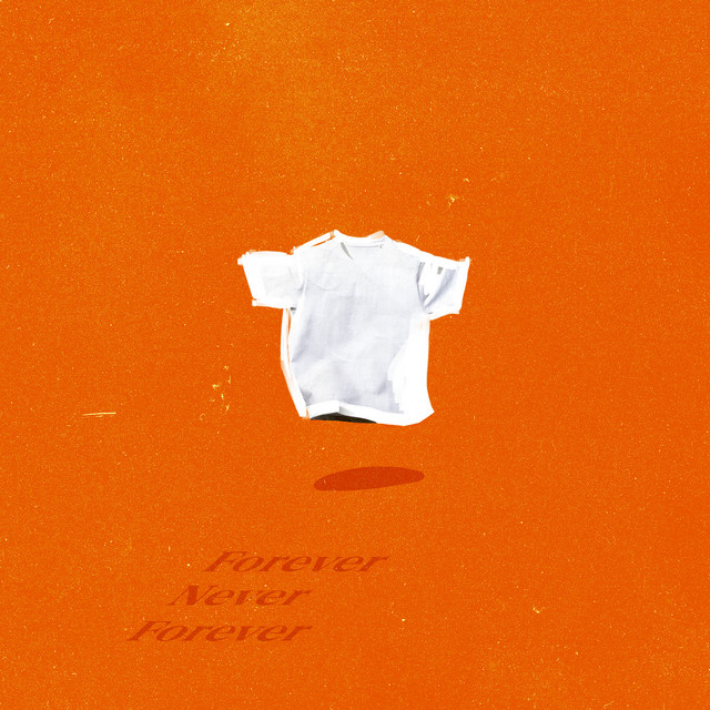 Forever Never Forever cover