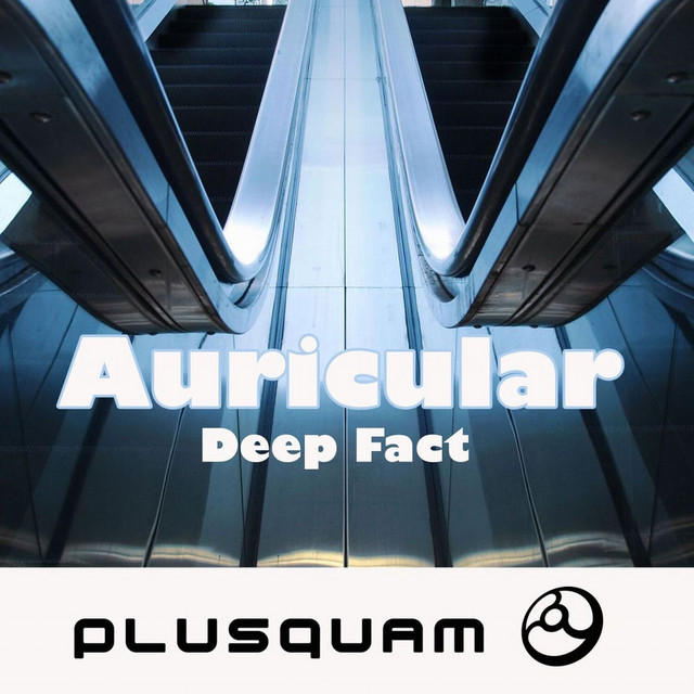 Deep Fact cover art